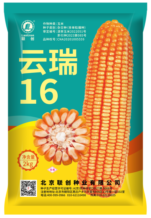云瑞16