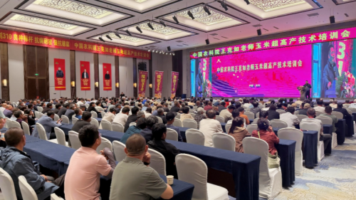 科技賦能促增產(chǎn) 良種護(hù)航助豐收